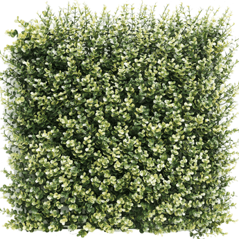 Kunsthecken-Paneel | Buxus beige 50x50 cm UV 2 Kunsthecken-Paneel | Buxus beige 50x50 cm UV – Bild 2