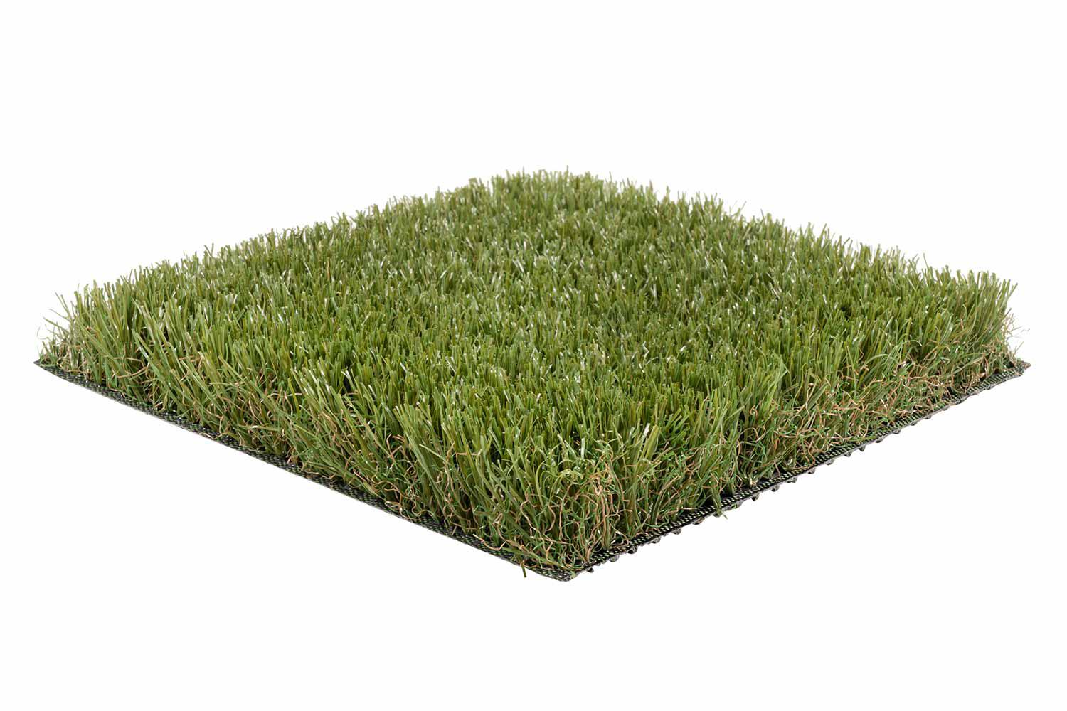 Corsica 40 2 Corsica 40 – Bild 2