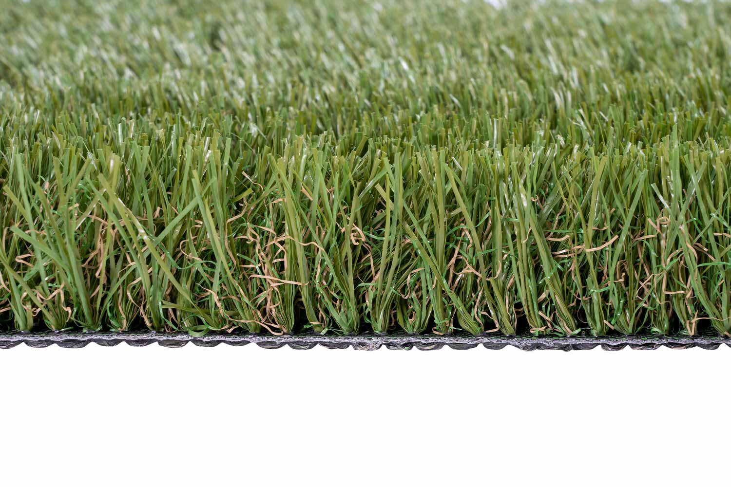 Corsica 40 3 Corsica 40 – Bild 3