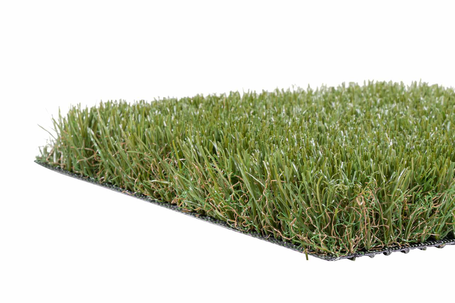 Corsica 40 5 Corsica 40 – Bild 5