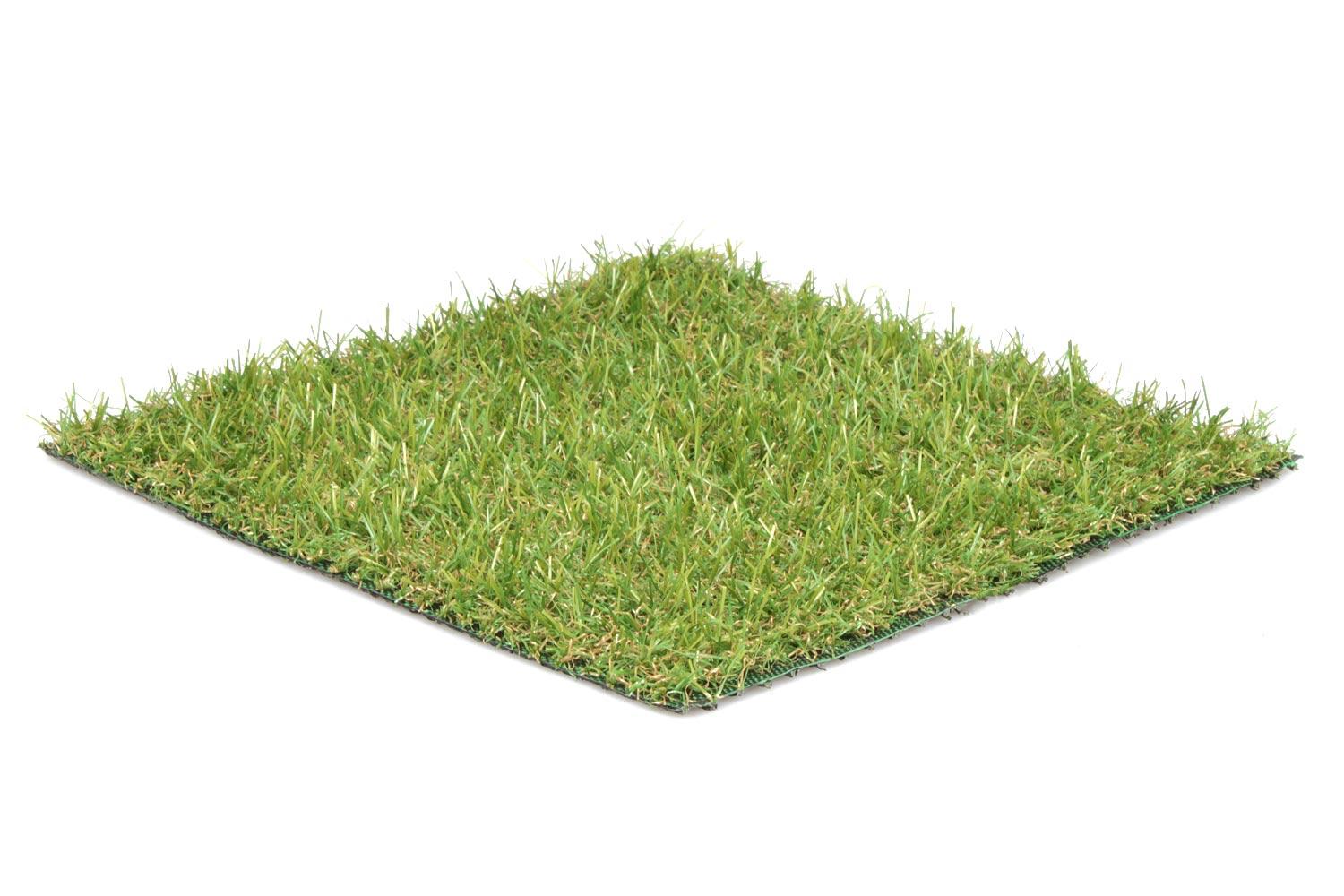 Milo 20 2 Milo 20 – Bild 2