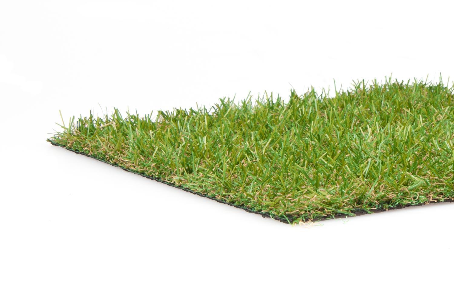 Milo 20 5 Milo 20 – Bild 5