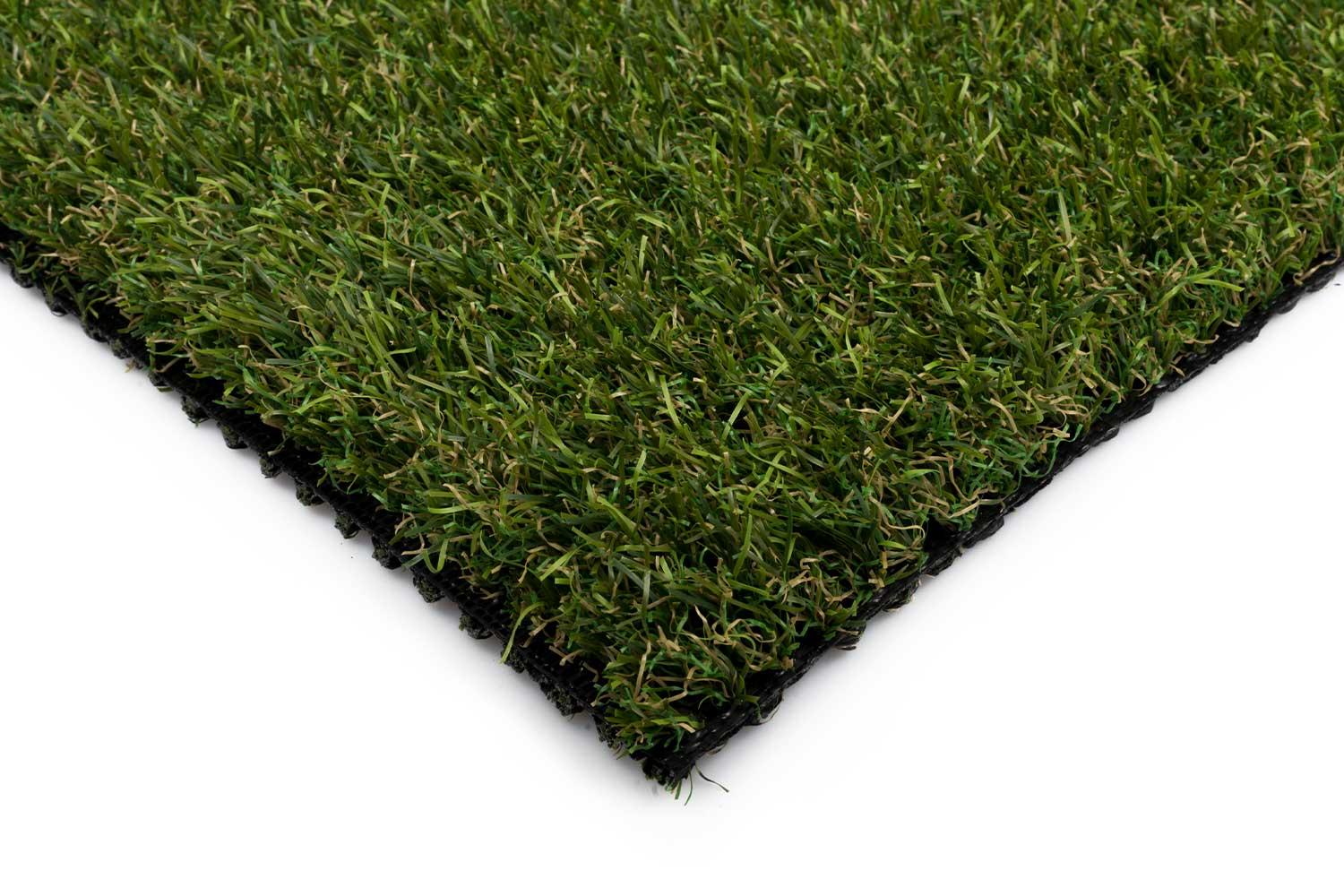 Maximo 30 1 Maximo 30