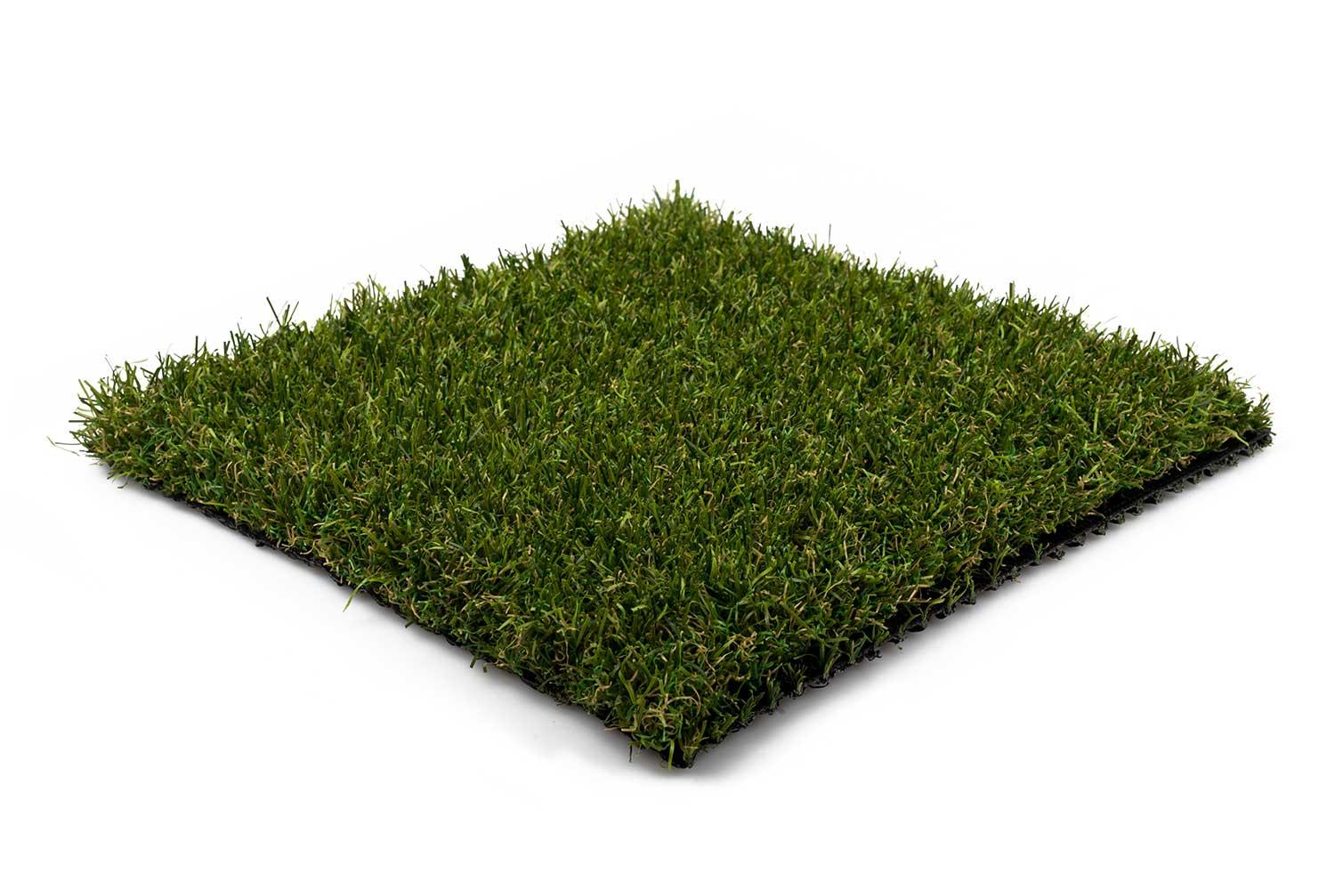 Maximo 30 2 Maximo 30 – Bild 2