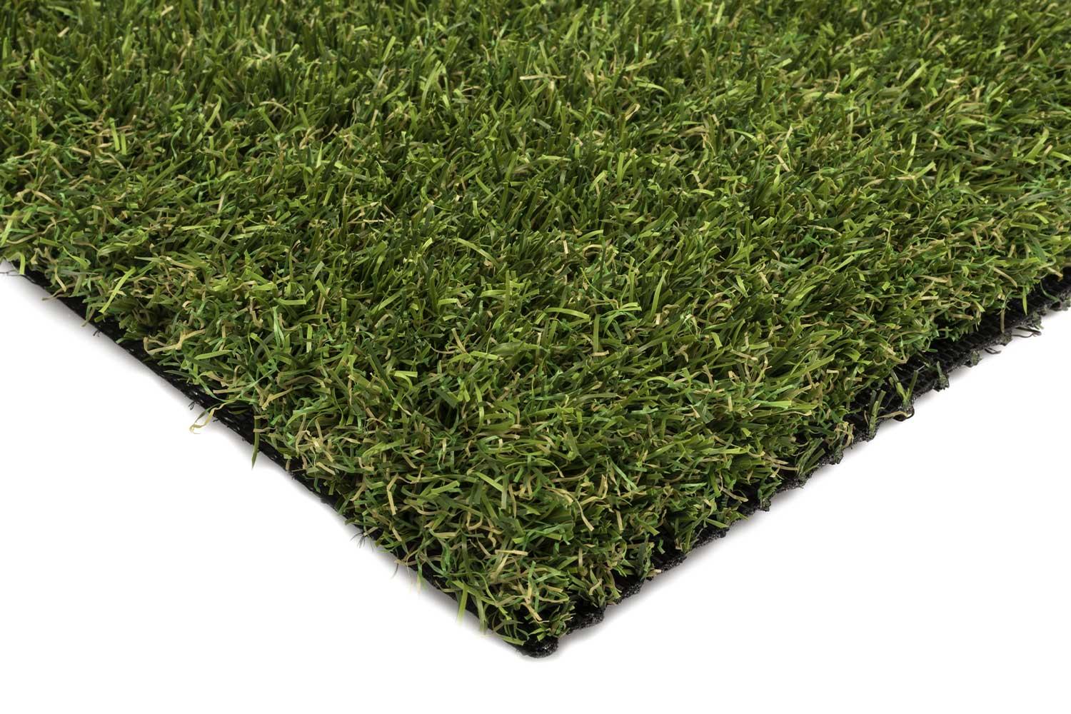 Maximo 40 1 Maximo 40