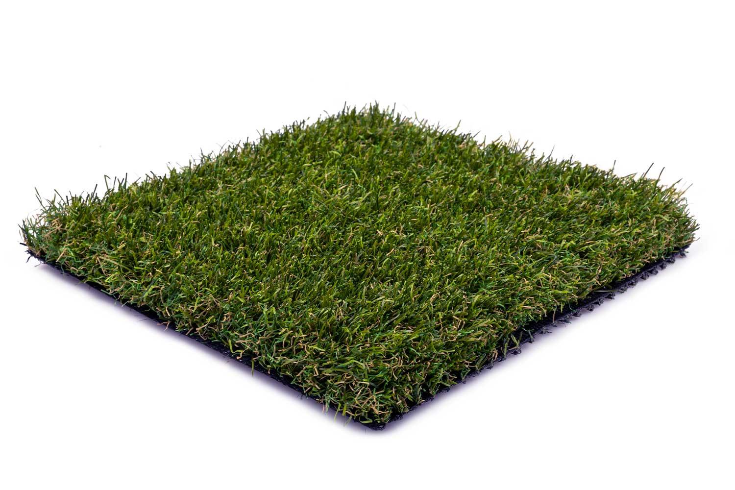 Maximo 40 2 Maximo 40 – Bild 2