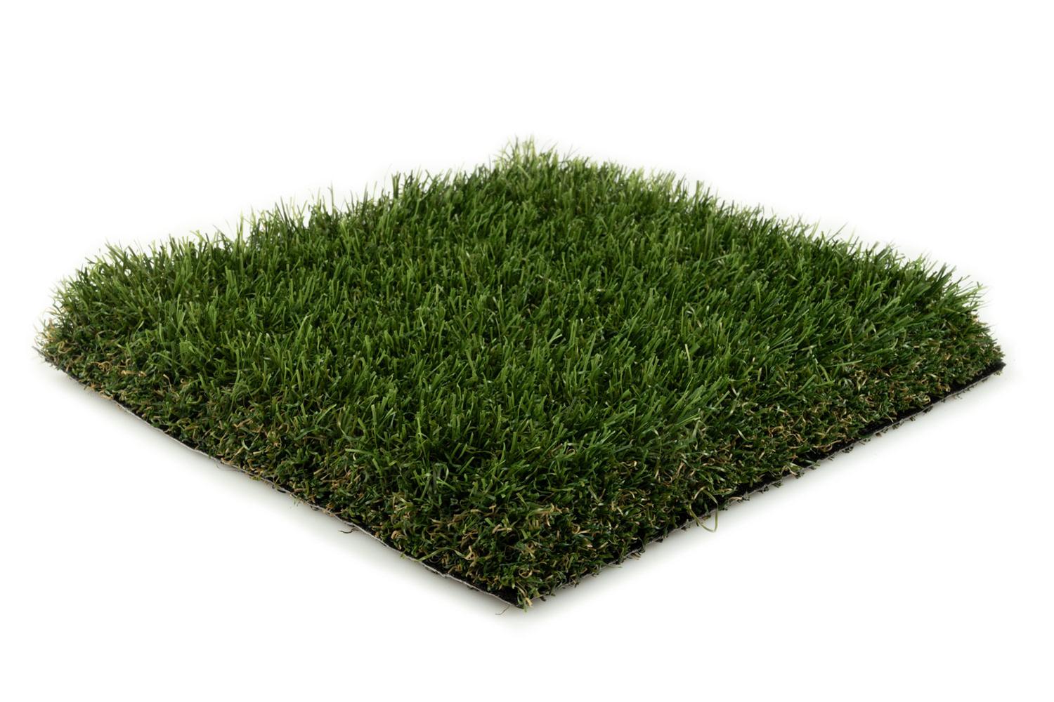 Eden 45 2 Eden 45 – Bild 2