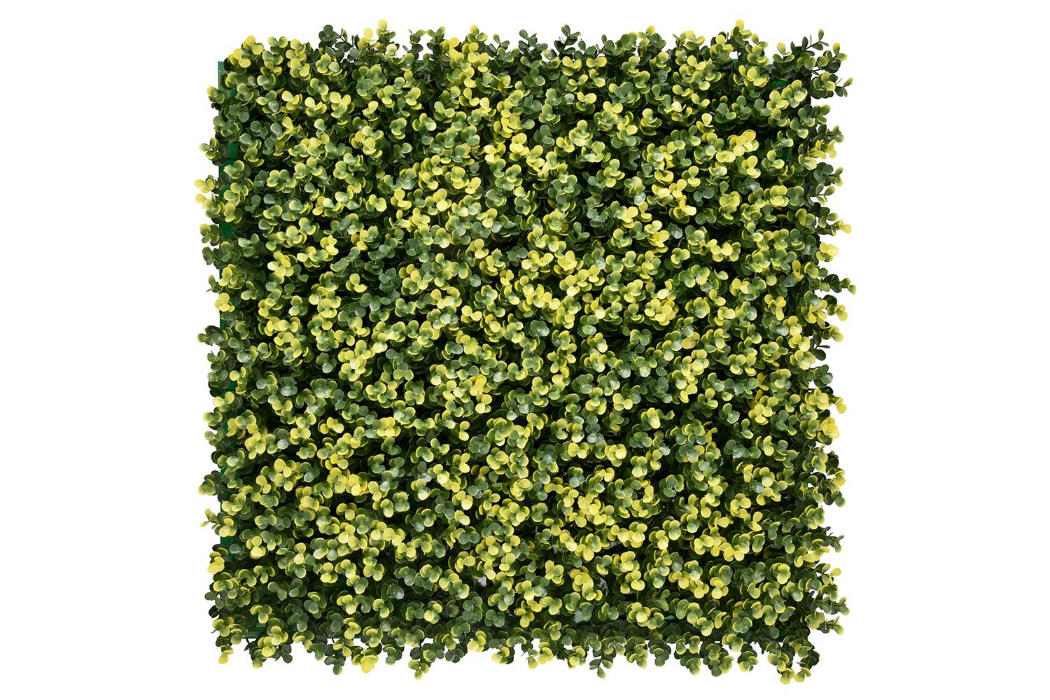Kunsthecken-Paneel | Lina Buxus - 100x100cm 1 Kunsthecken-Paneel | Lina Buxus - 100x100cm