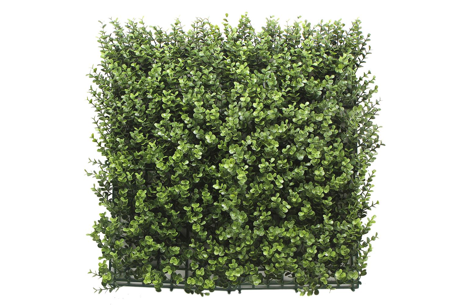 Kunsthecken-Paneel | Leah Buxus - 100x100cm 1 Kunsthecken-Paneel | Leah Buxus - 100x100cm