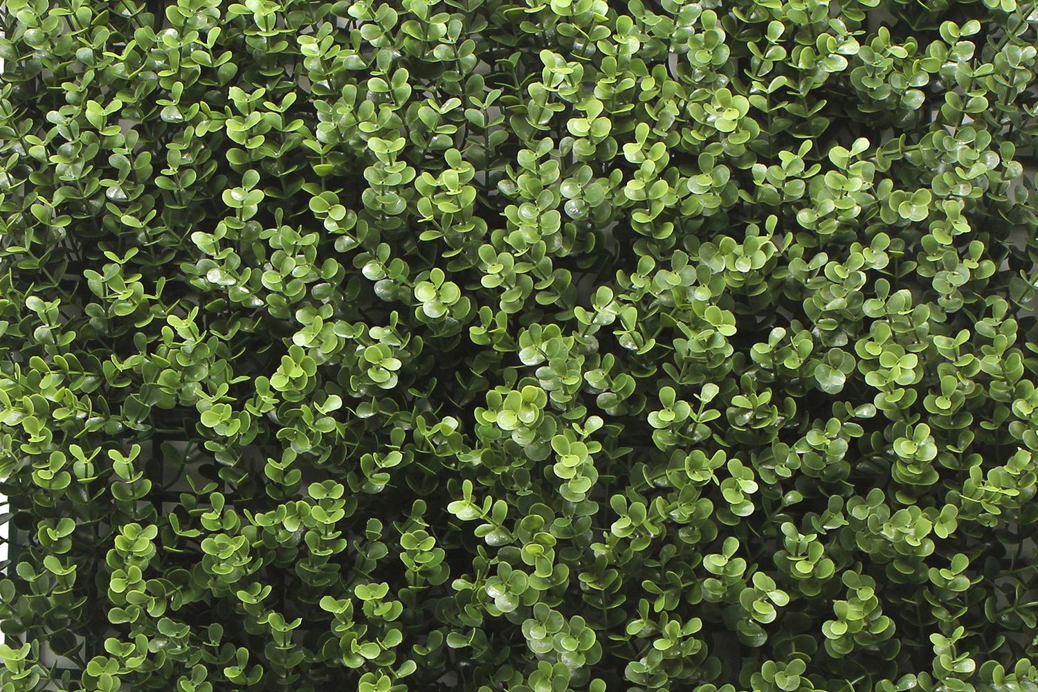 Kunsthecken-Paneel | Leah Buxus - 100x100cm 2 Kunsthecken-Paneel | Leah Buxus - 100x100cm – Bild 2