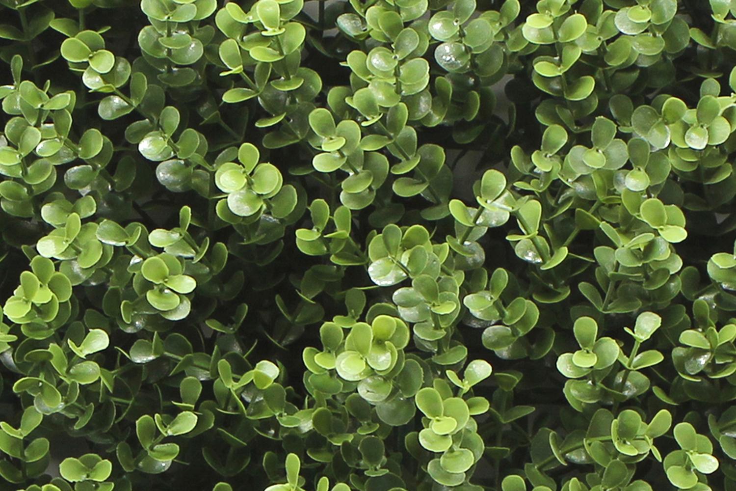 Kunsthecken-Paneel | Leah Buxus - 100x100cm 3 Kunsthecken-Paneel | Leah Buxus - 100x100cm – Bild 3