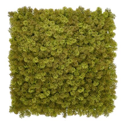 Kunsthecken-Paneel | Kate Moos - 100x100cm