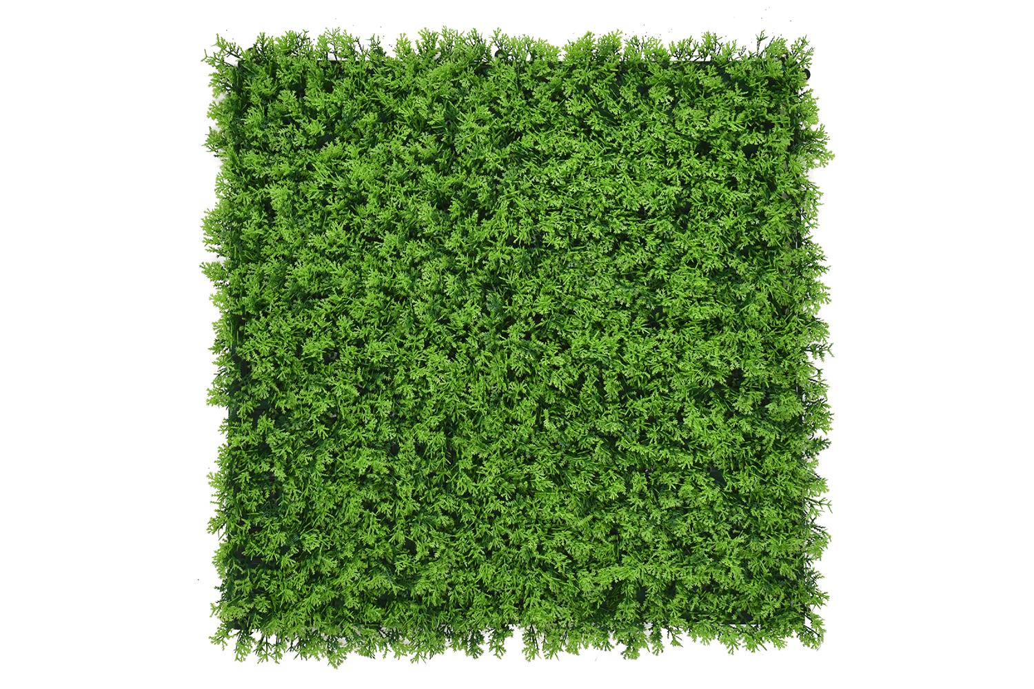 Charlotte Zypresse - 100x100cm 1 Charlotte Zypresse - 100x100cm