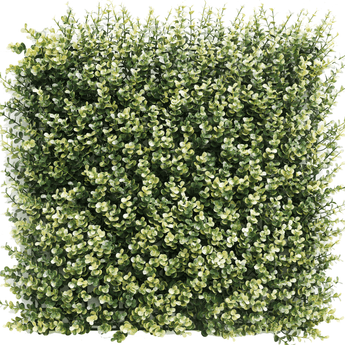 Kunsthecken-Paneel | Buxus beige 50x50 cm UV