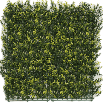 Kunsthecken-Paneel | Buxus gelb 50x50 cm UV