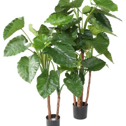 Künstliche Alocasia Calidora, ca. 130cm hoch, grün