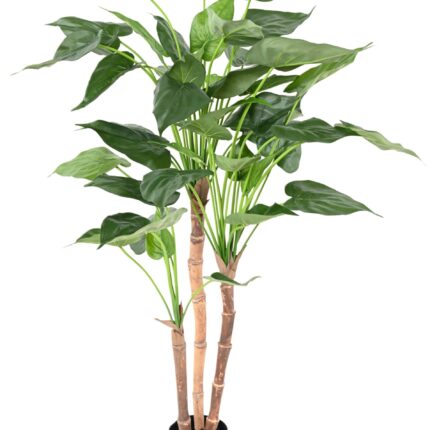 Künstliche Alocasia Cucullata, ca. 110cm hoch, grün