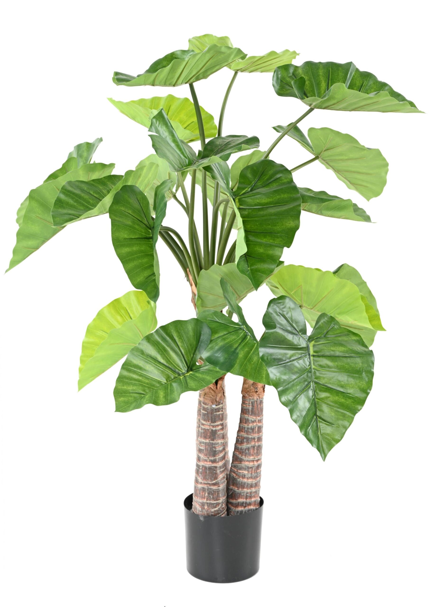 Künstliche Alocasia, ca. 130cm hoch, grün 1 Künstliche Alocasia, ca. 130cm hoch, grün