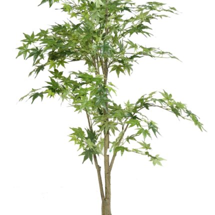 Künstliche Aralia, ca. 175cm hoch, grün