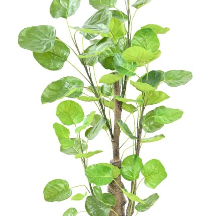 Künstliche Aralia Fabian, ca. 90cm hoch, grün