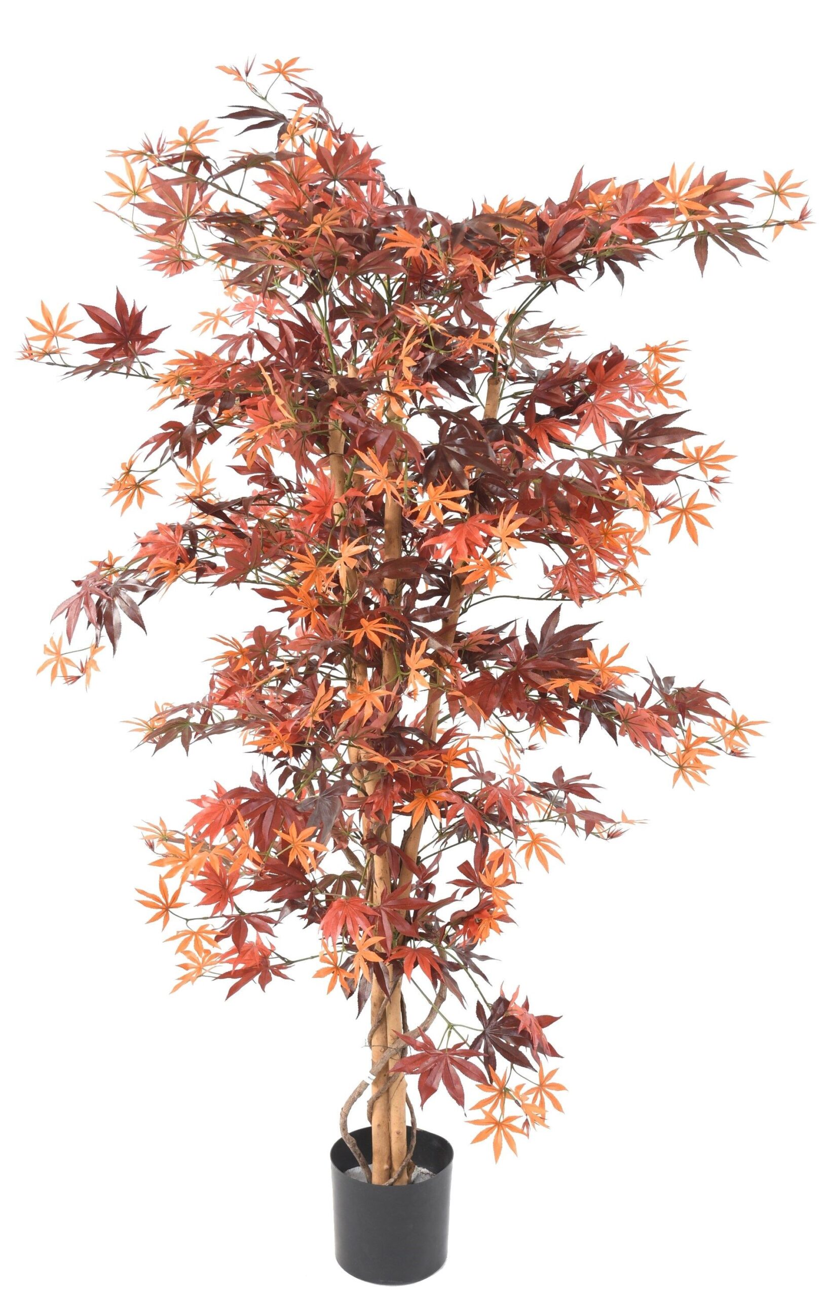 Künstlicher Aralia Baum, ca. 150cm hoch, herbstfarbig 1 Künstlicher Aralia Baum, ca. 150cm hoch, herbstfarbig