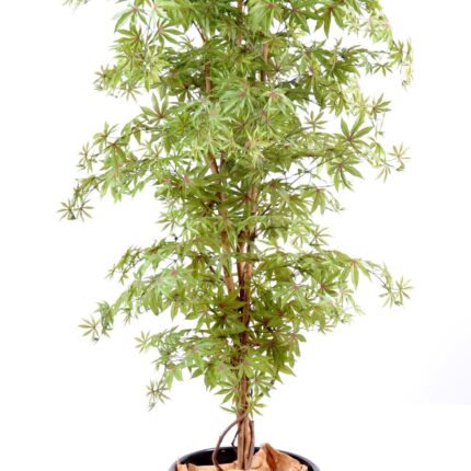 Künstlicher Aralia Baum, ca. 180cm hoch, grün