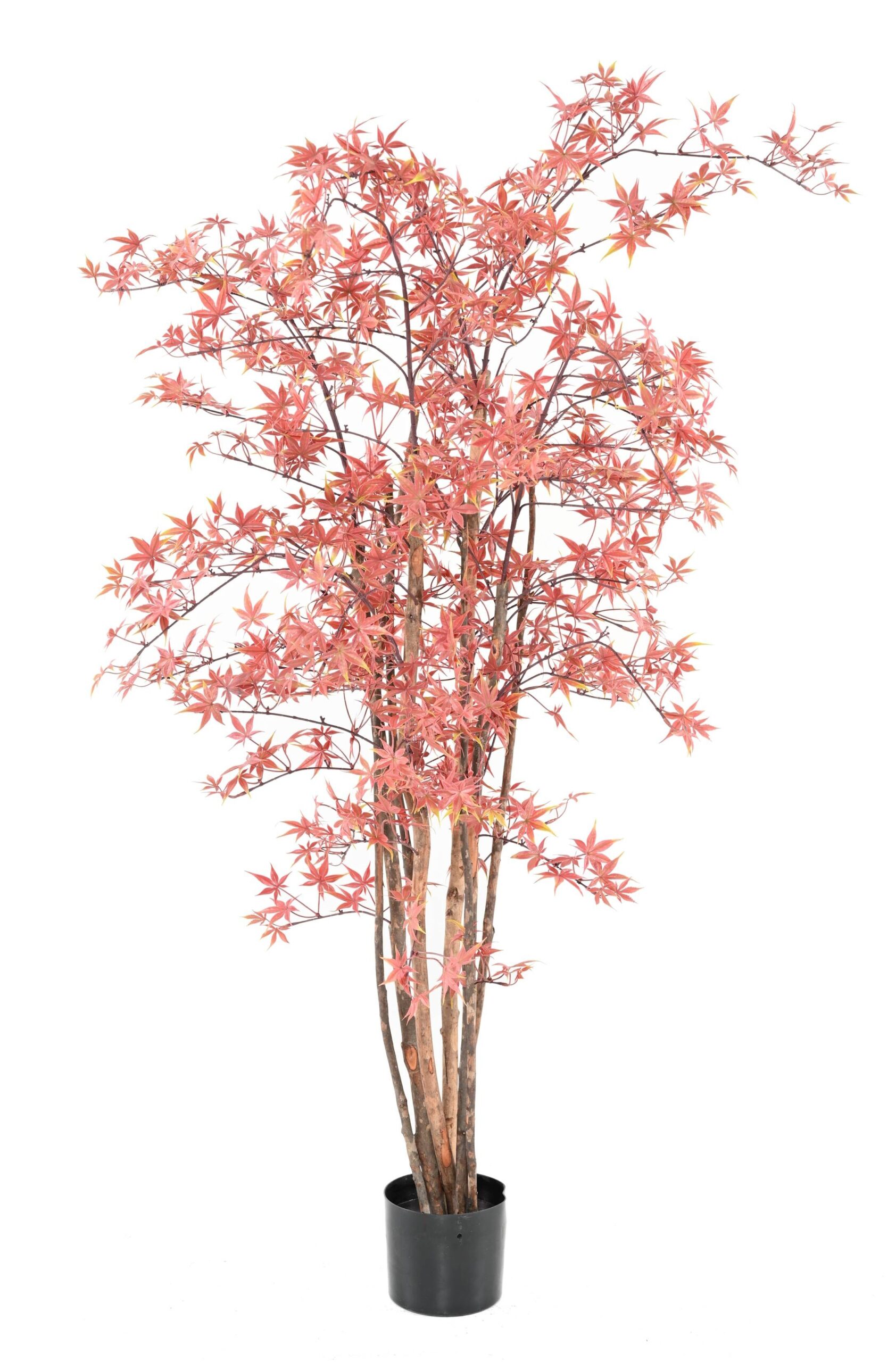 Künstliche Aralia, ca 160cm - UV-Beständig, grün 1 Künstliche Aralia, ca 160cm - UV-Beständig, grün