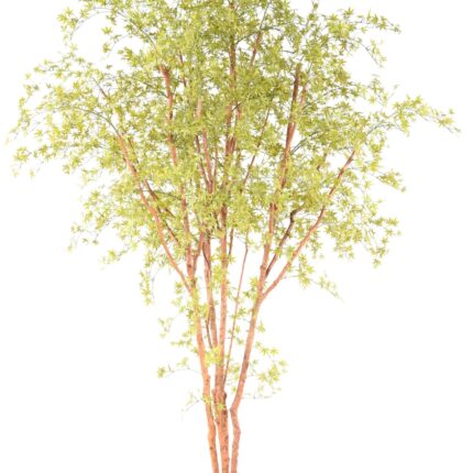 Künstlicher Aralia Baum, ca 340cm - UV-Beständig, grün