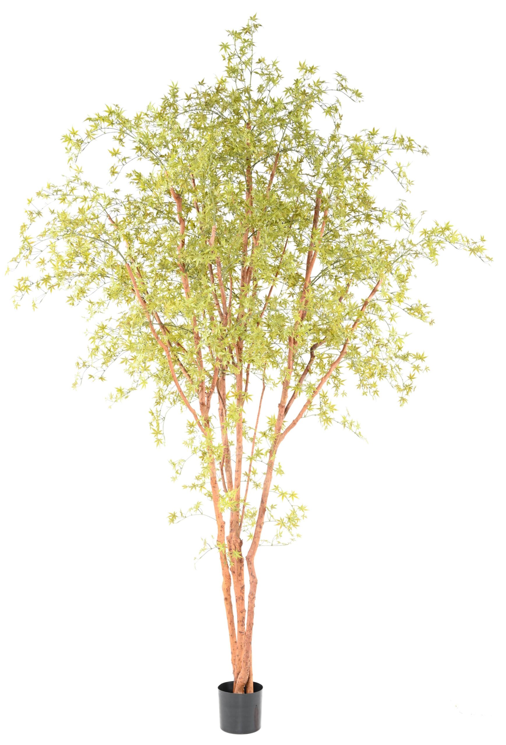 Künstlicher Aralia Baum, ca 340cm - UV-Beständig, grün 1 Künstlicher Aralia Baum, ca 340cm - UV-Beständig, grün