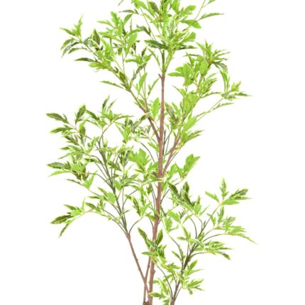 Künstlicher Aralia Plerandra, ca. 145cm hoch, grün