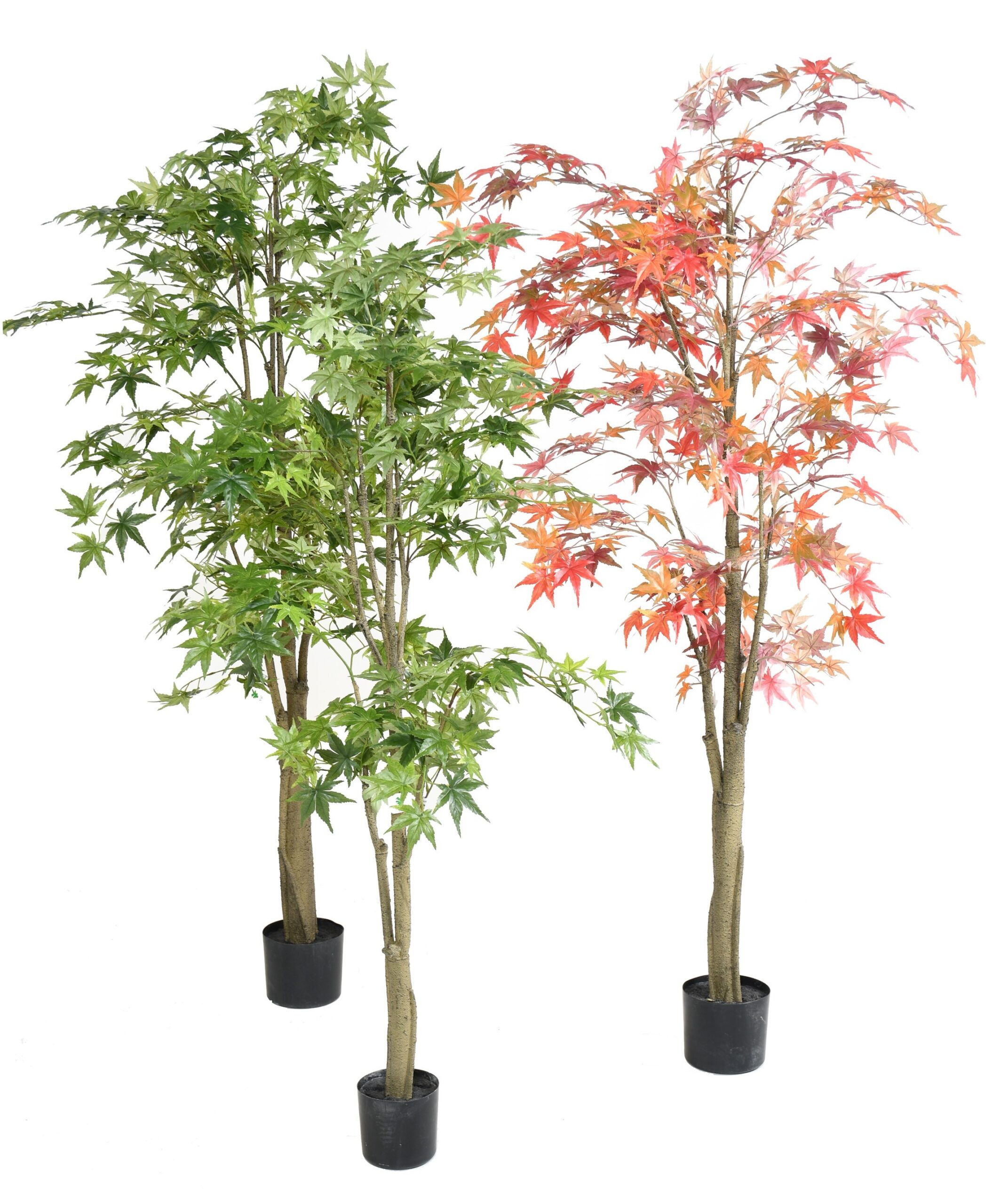 Künstliche Aralia, ca. 150cm hoch, grün 1 Künstliche Aralia, ca. 150cm hoch, grün