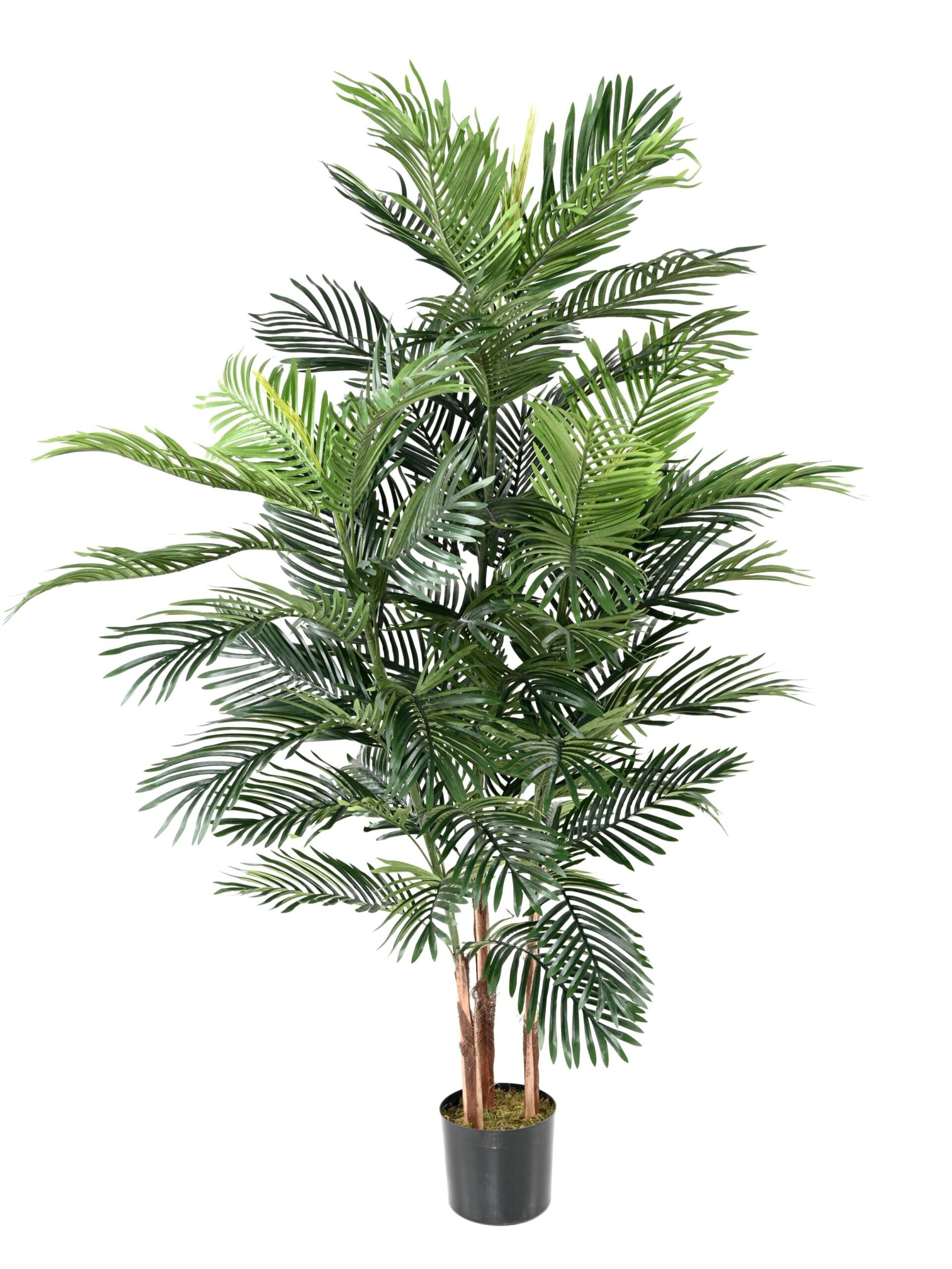 Künstlicher Areca Baum, ca. 180cm, grün 1 Künstlicher Areca Baum, ca. 180cm, grün