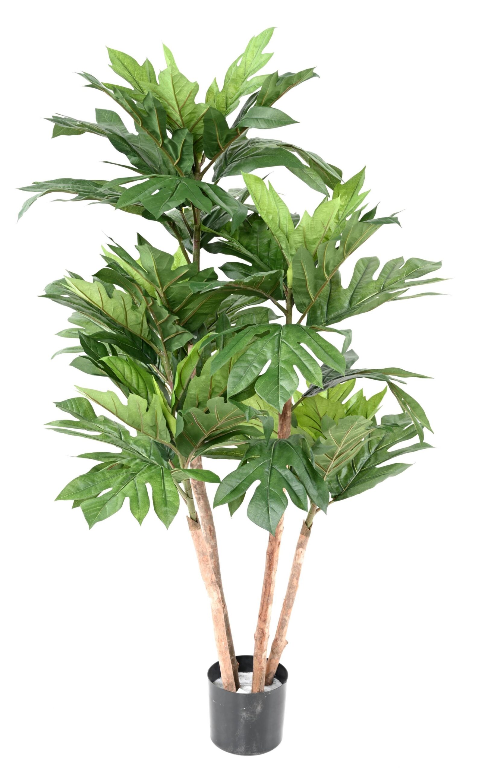 Künstlicher Brotfruchtbaum, ca. 140cm hoch, grün 1 Künstlicher Brotfruchtbaum, ca. 140cm hoch, grün