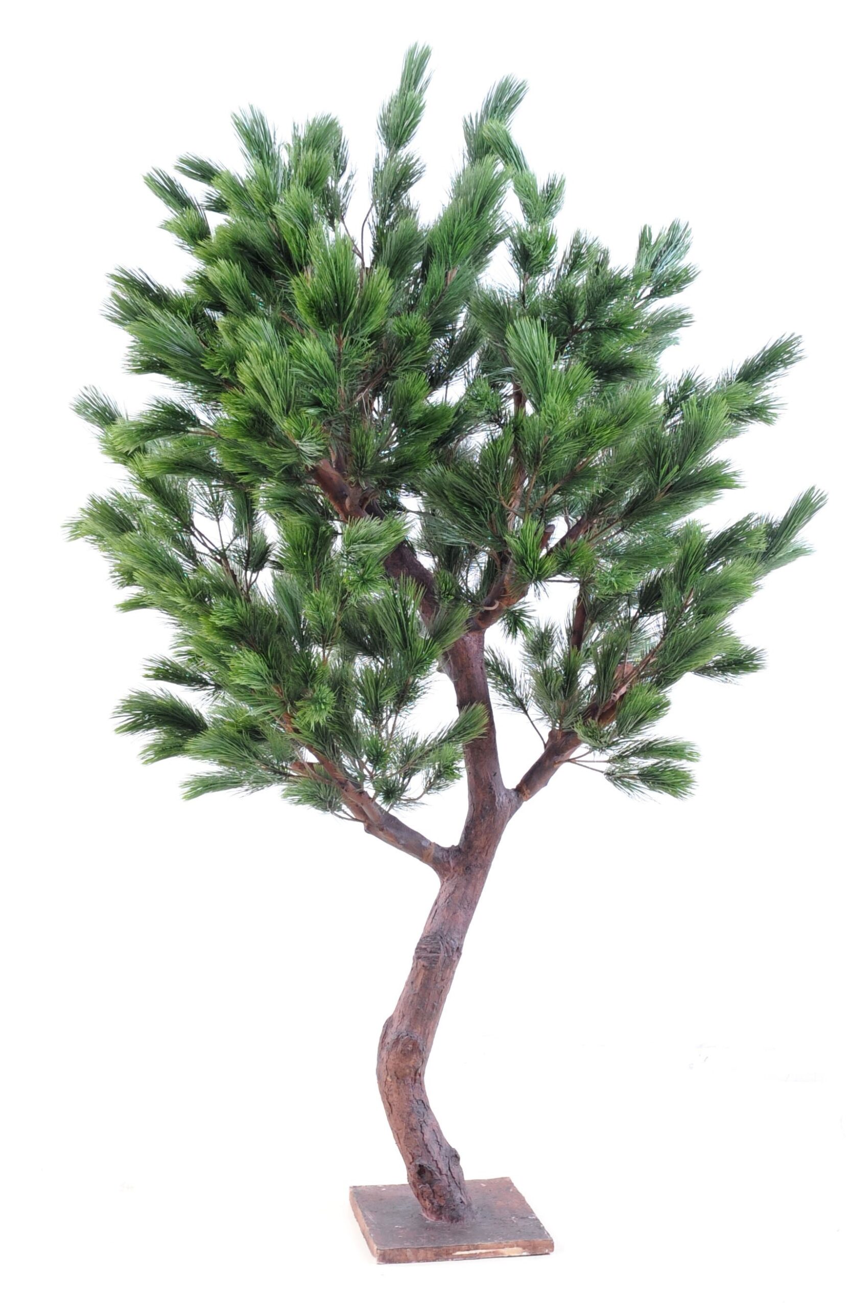 Künstliche Österreichische Kiefer, ca. 210cm hoch, grün 1 Künstliche Österreichische Kiefer, ca. 210cm hoch, grün