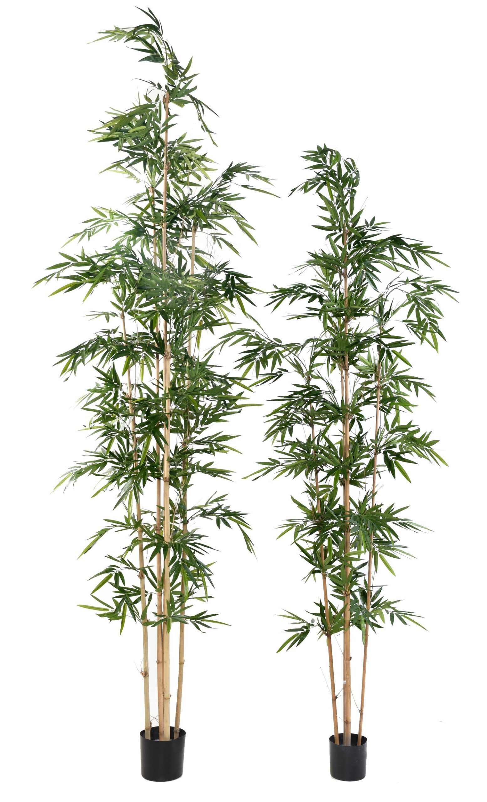 Künstlicher Bambus, ca. 380cm hoch, grün 1 Künstlicher Bambus, ca. 380cm hoch, grün