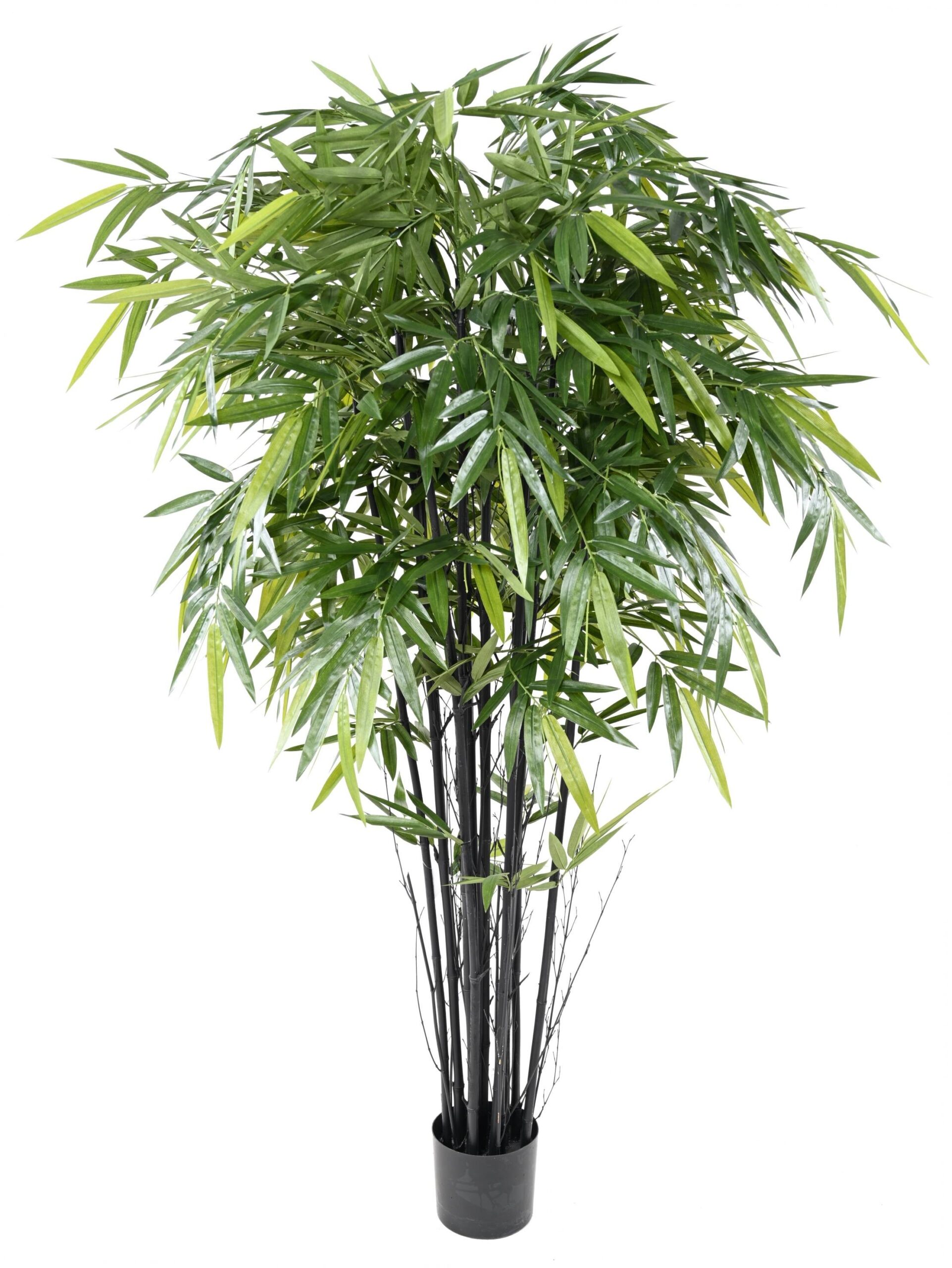 Künstlicher Schwarzer Bambus, ca. 180cm hoch, schwarz 1 Künstlicher Schwarzer Bambus, ca. 180cm hoch, schwarz