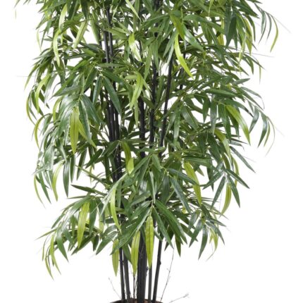 Künstlicher Schwarzer Bambus, ca. 175cm hoch, dunkelgrün