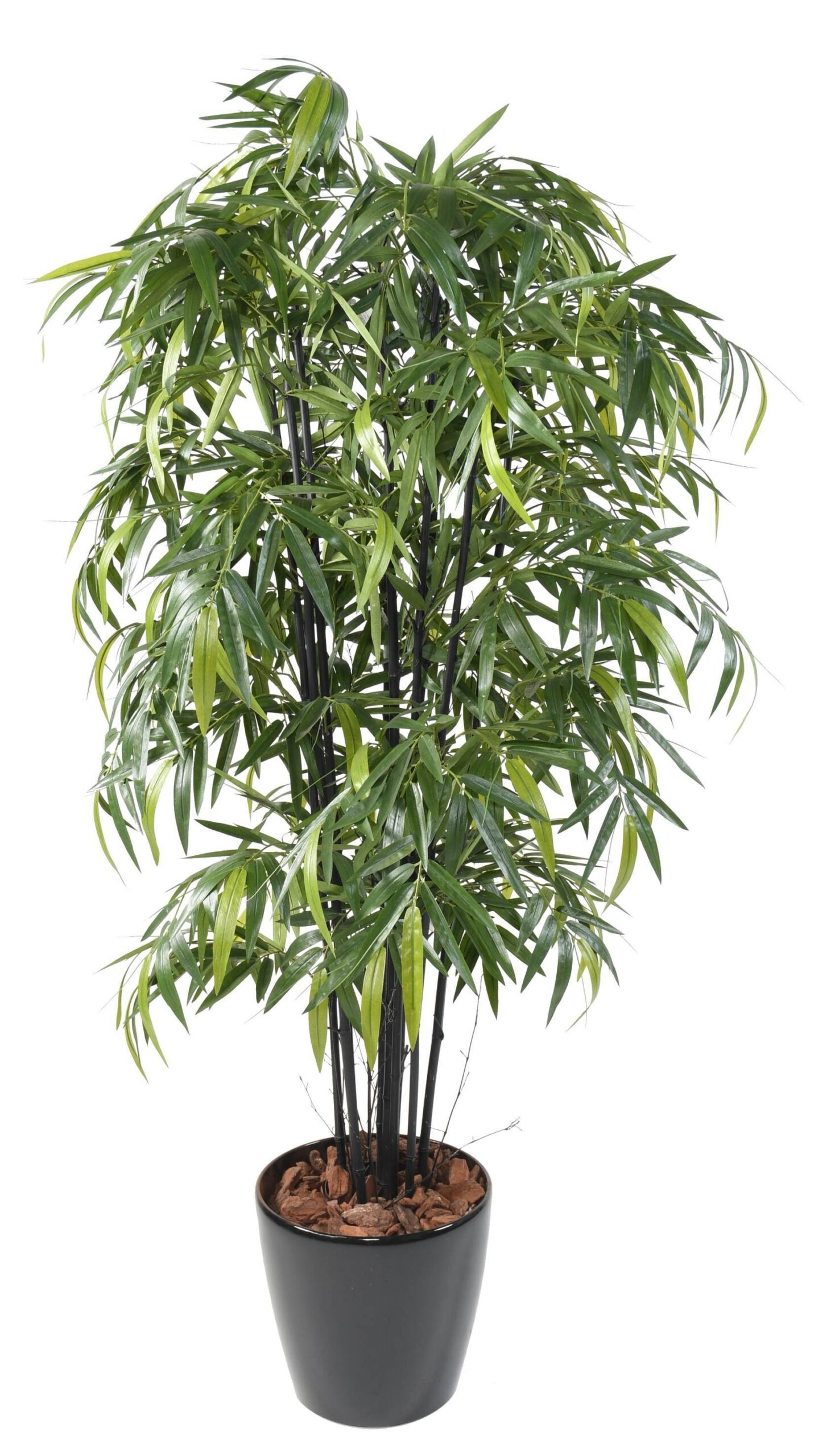 Künstlicher Schwarzer Bambus, ca. 175cm hoch, dunkelgrün 1 Künstlicher Schwarzer Bambus, ca. 175cm hoch, dunkelgrün