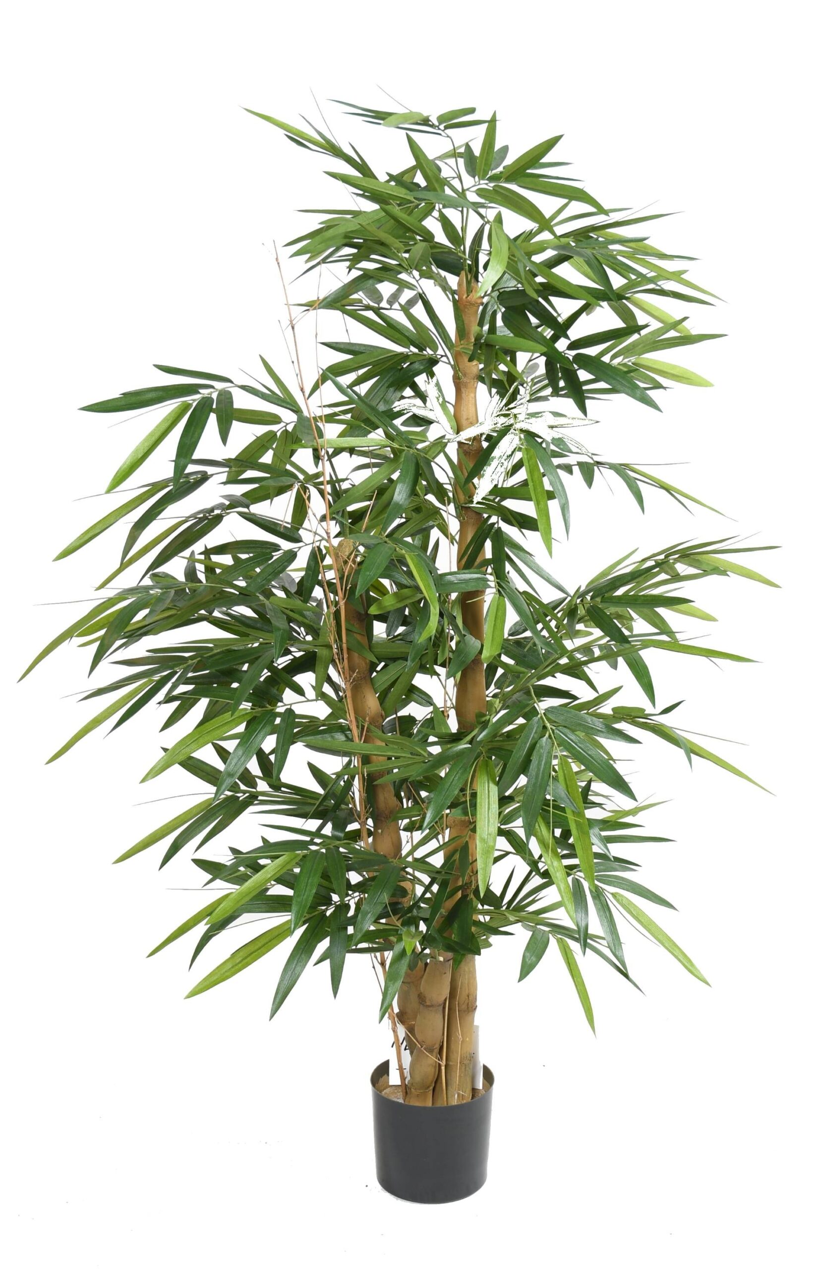 Künstlicher Bambus-Buddha-Baum, ca. 145cm hoch, grün 1 Künstlicher Bambus-Buddha-Baum, ca. 145cm hoch, grün