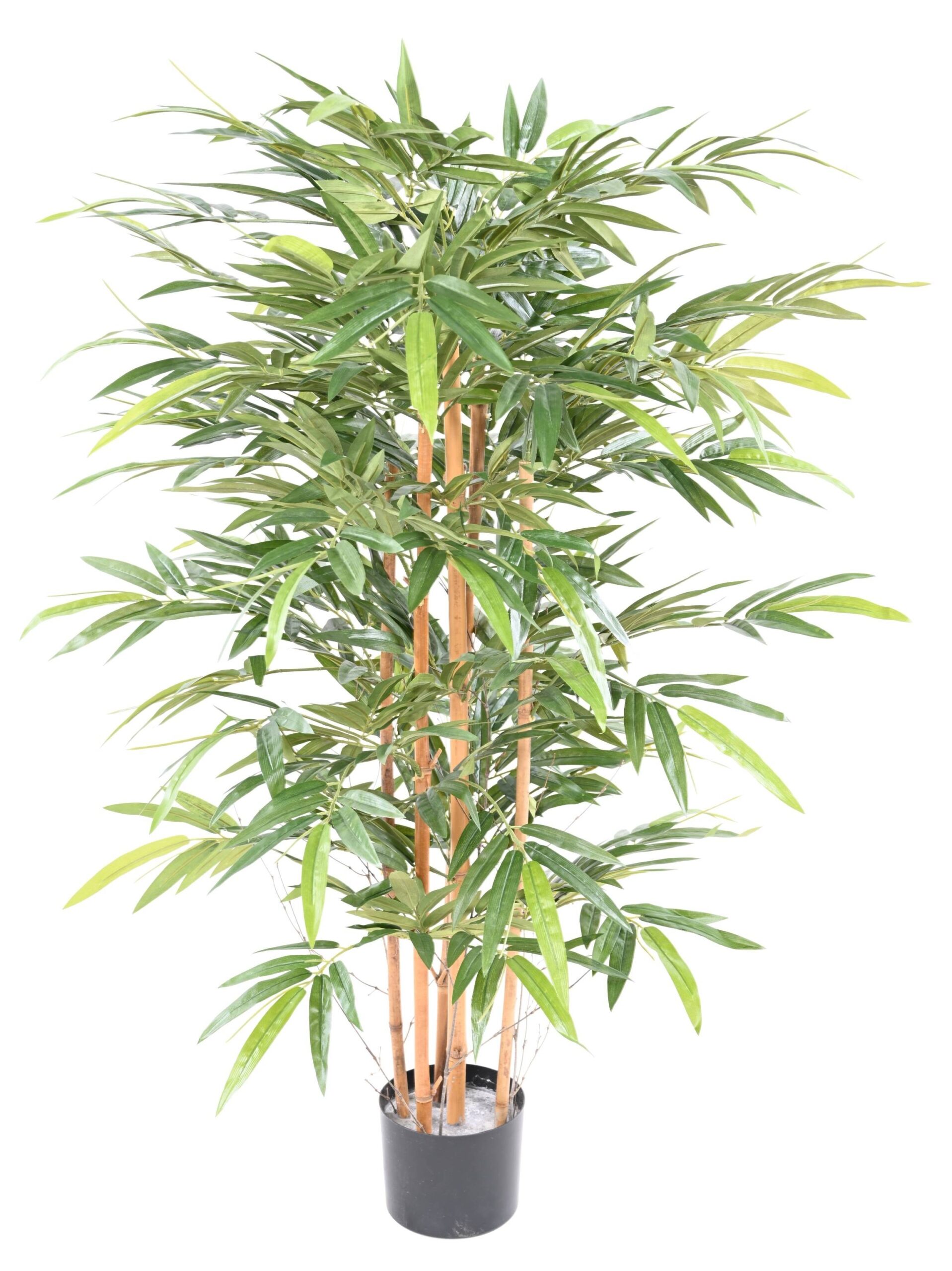 Künstlicher Bambus, ca. 145cm hoch, grün 1 Künstlicher Bambus, ca. 145cm hoch, grün