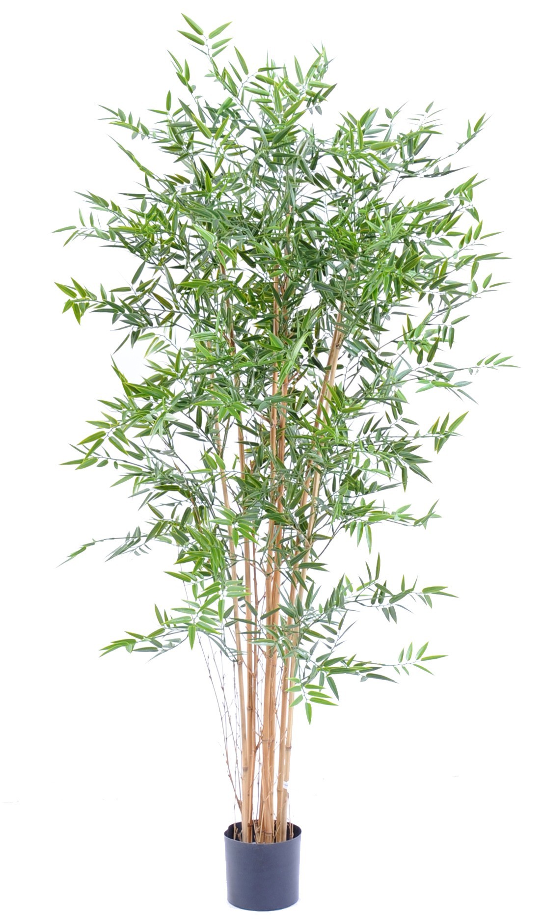 Künstlicher Japanischer Bambus, ca 180cm - UV-beständig, grün 1 Künstlicher Japanischer Bambus, ca 180cm - UV-beständig, grün