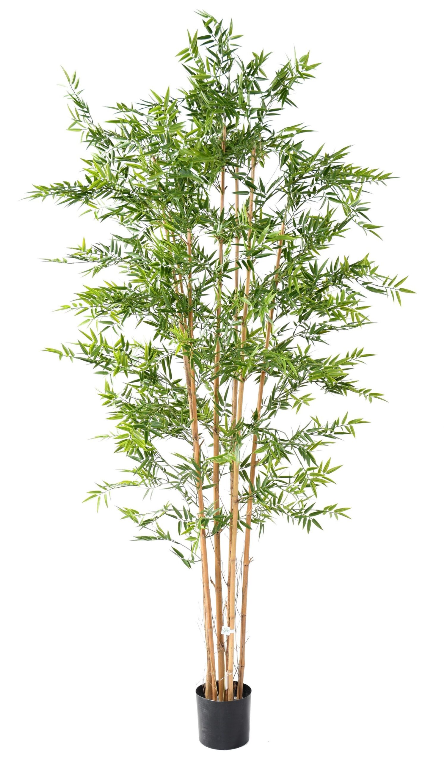 Künstlicher Japanischer Bambus, ca 240cm - UV-beständig, grün 1 Künstlicher Japanischer Bambus, ca 240cm - UV-beständig, grün