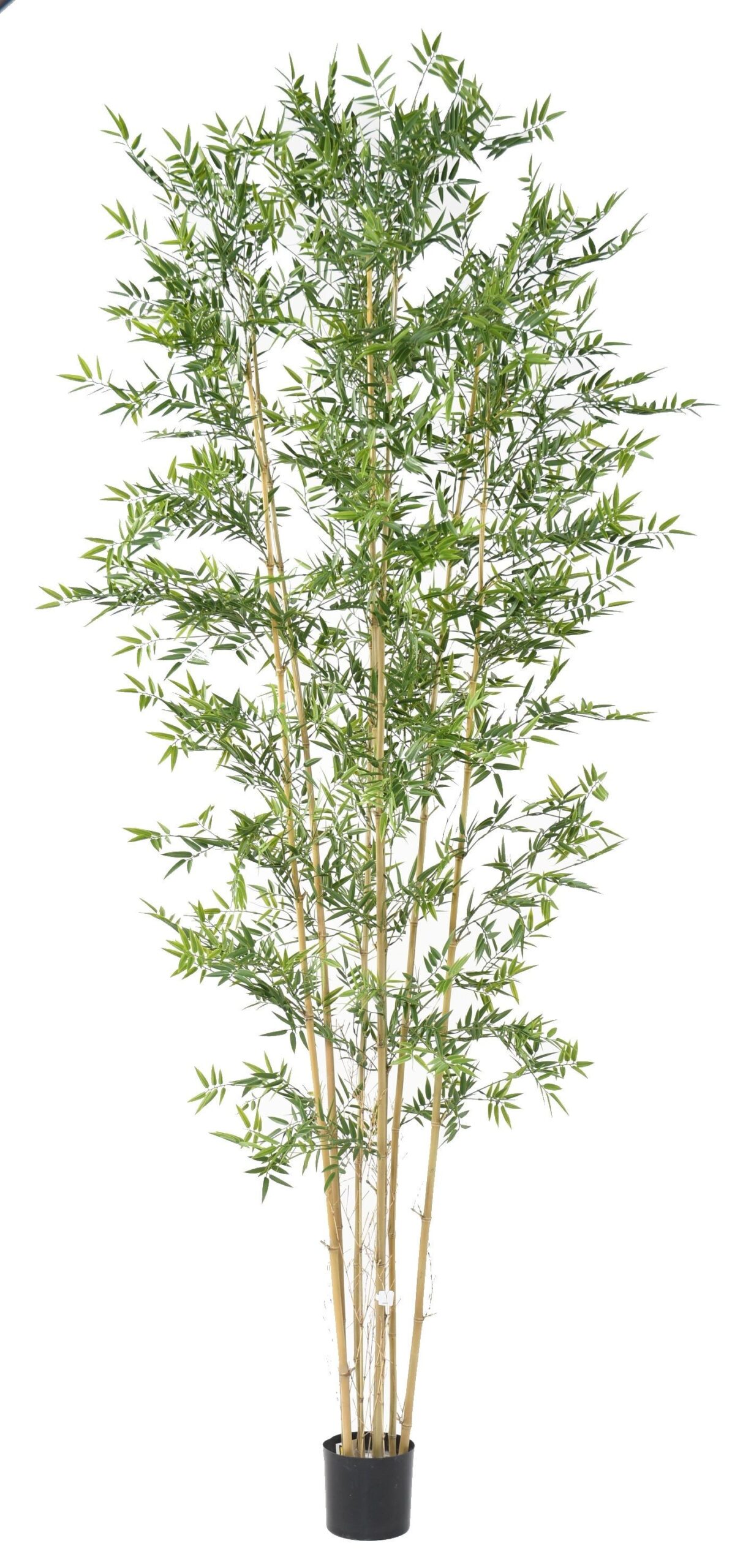 Künstlicher Japanischer Bambus, ca 320cm - UV-beständig, grün 1 Künstlicher Japanischer Bambus, ca 320cm - UV-beständig, grün