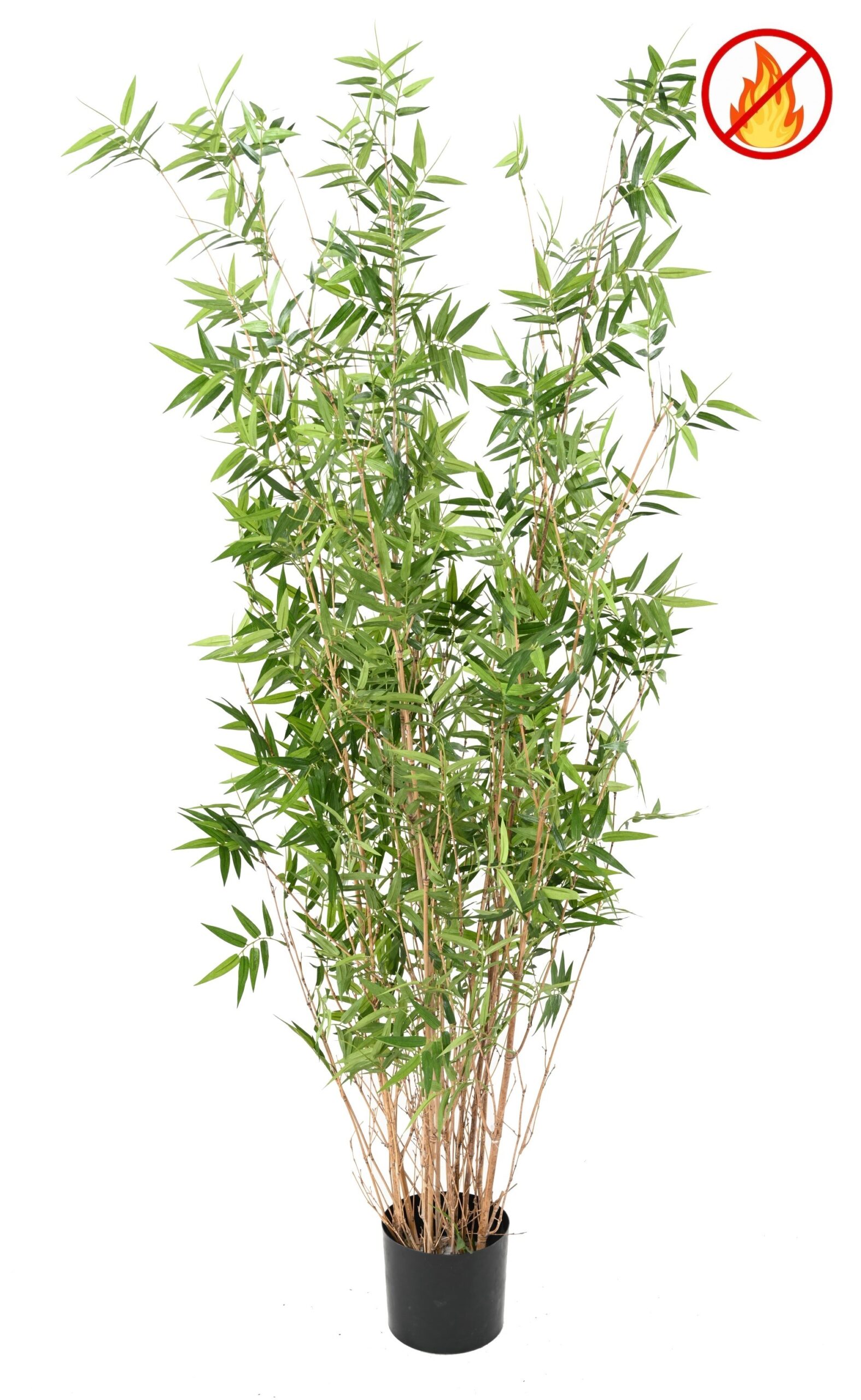 Künstlicher Orientalischer Bambus, ca. 160cm hoch, grün 1 Künstlicher Orientalischer Bambus, ca. 160cm hoch, grün