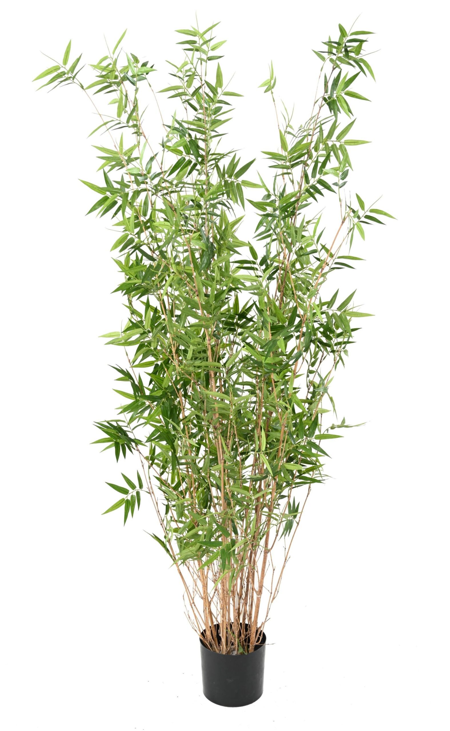 Künstlicher Orientalischer Bambus, ca. 100cm hoch, grün 1 Künstlicher Orientalischer Bambus, ca. 100cm hoch, grün