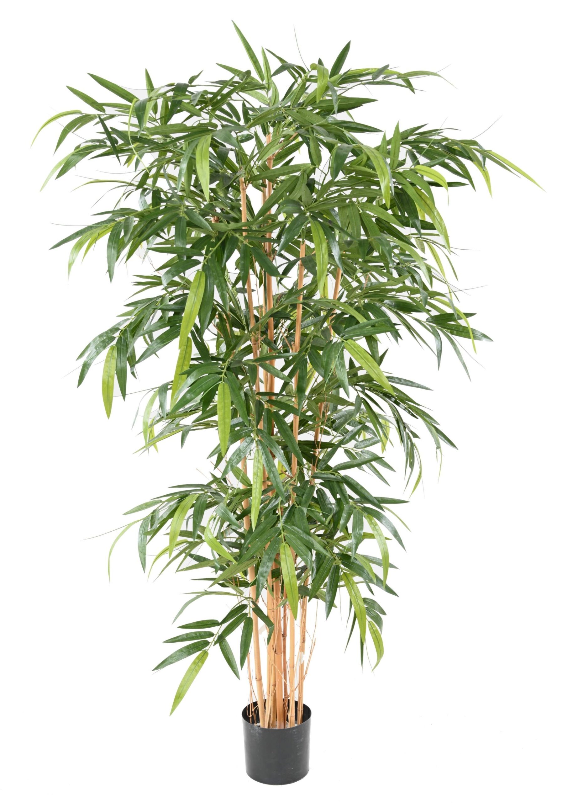 Künstlicher Bambus, ca. 300cm hoch, grün 1 Künstlicher Bambus, ca. 300cm hoch, grün