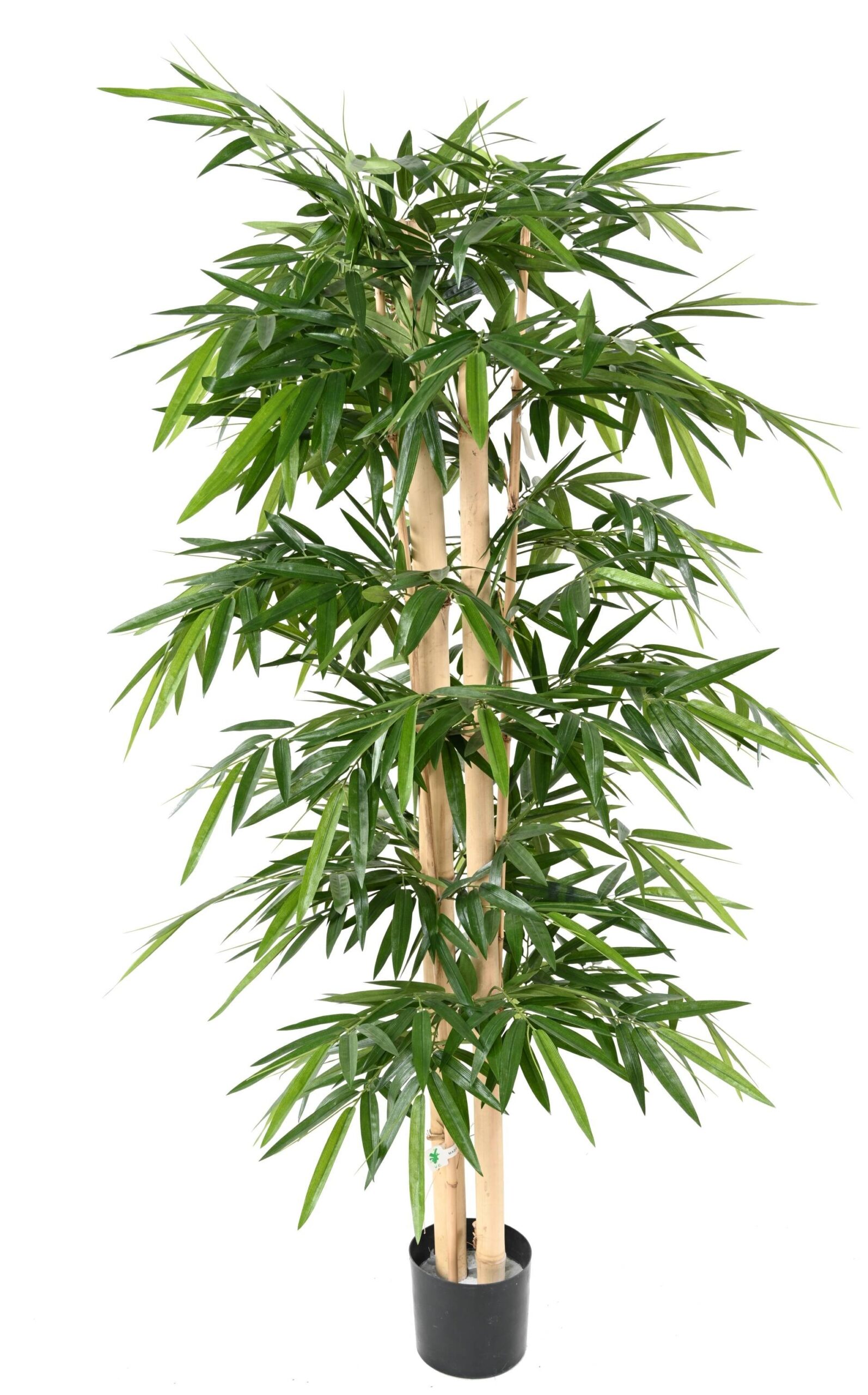 Künstlicher Bambus, ca. 210cm hoch, grün 1 Künstlicher Bambus, ca. 210cm hoch, grün