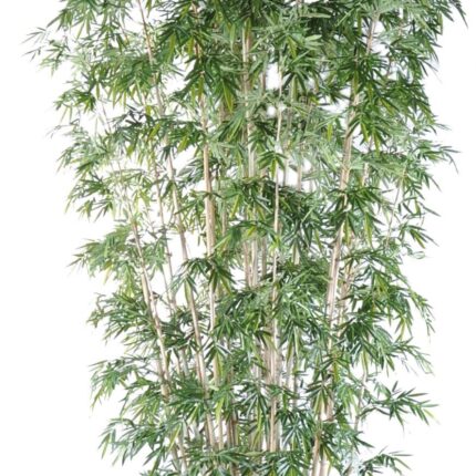 Künstlicher Riesenbambus, ca. 700cm hoch, grün