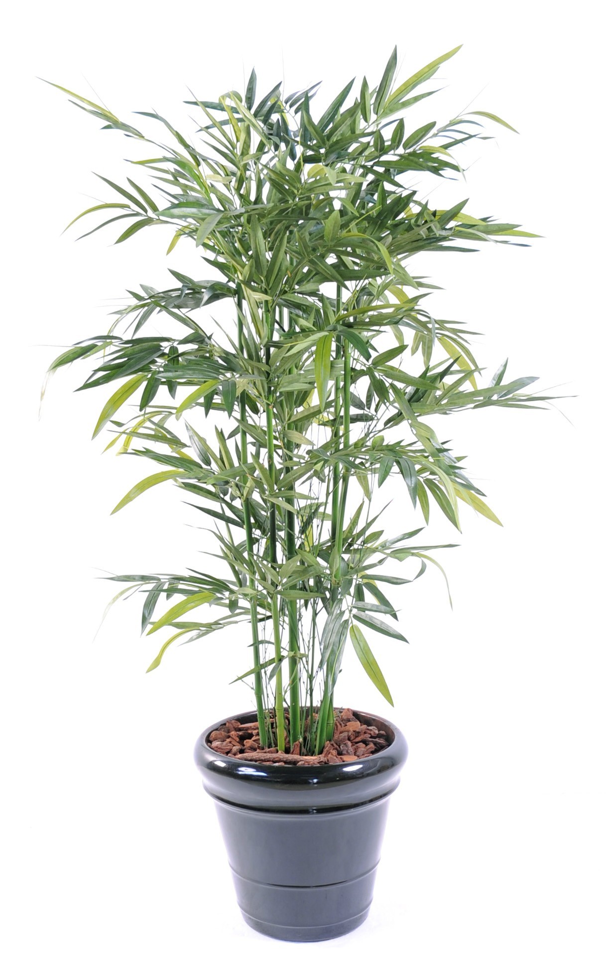Künstlicher Bambus, ca. 150cm hoch, grün 1 Künstlicher Bambus, ca. 150cm hoch, grün