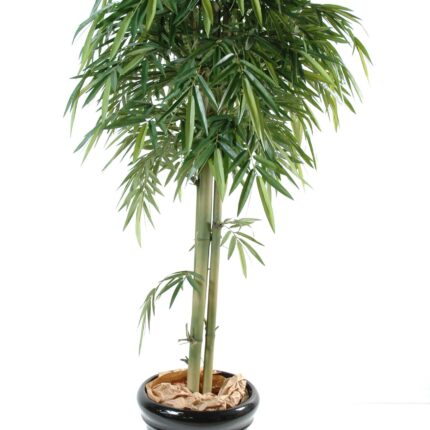 Künstlicher Bambus, ca. 180cm hoch, grün